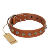 "Dogue-Vogue" FDT Artisan Tan Leather dog Collar with Engraved Chrome-plated Studs