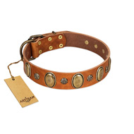"Total Grace" FDT Artisan Brown Leather Dog Collar with Eye-catchy Ovals and Small Studs