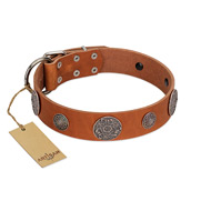 "Foxy Nature" FDT Artisan Tan Leather dog Collar with Chrome Plated Brooches