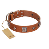 "Lucky Star" FDT Artisan Tan Leather dog Collar with Silver-Like Embellishments