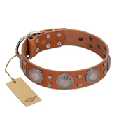 "Far Star" FDT Artisan Tan Leather dog Collar with Engraved Studs