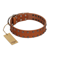"Star Light" Stylish FDT Artisan Tan Leather dog Collar with Silver-Like Studs