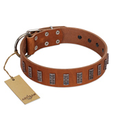 "Silver Century" Fashionable FDT Artisan Tan Leather dog Collar with Silver-Like Plates